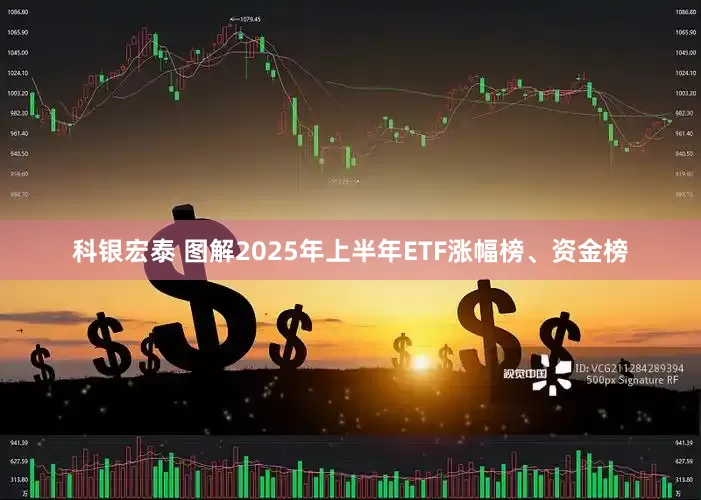 科银宏泰 图解2025年上半年ETF涨幅榜、资金榜