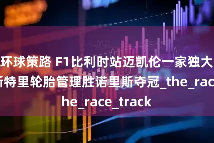 环球策路 F1比利时站迈凯伦一家独大，皮亚斯特里轮胎管理胜诺里斯夺冠_the_race_track